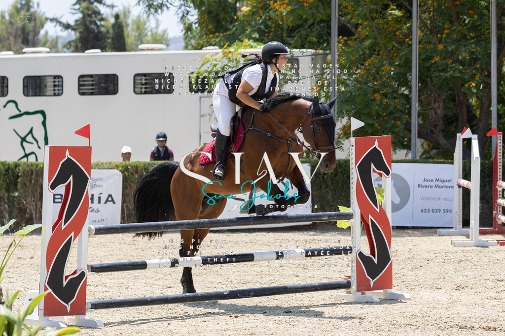 IMG_1604 | s-jay-photography - Realisiert mit Pictrs.com