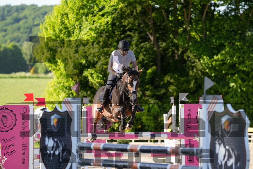 DSC02541 | Julian Held Fotografie - Realisiert mit Pictrs.com