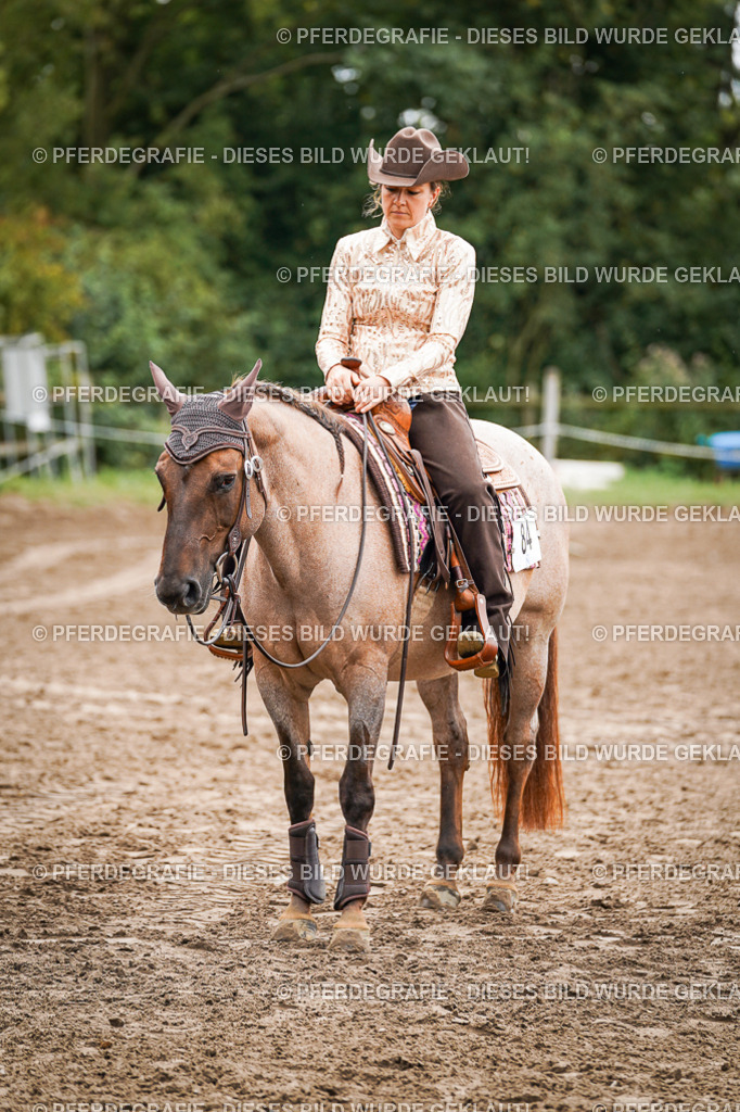 DSC04826 | Pferdegrafie