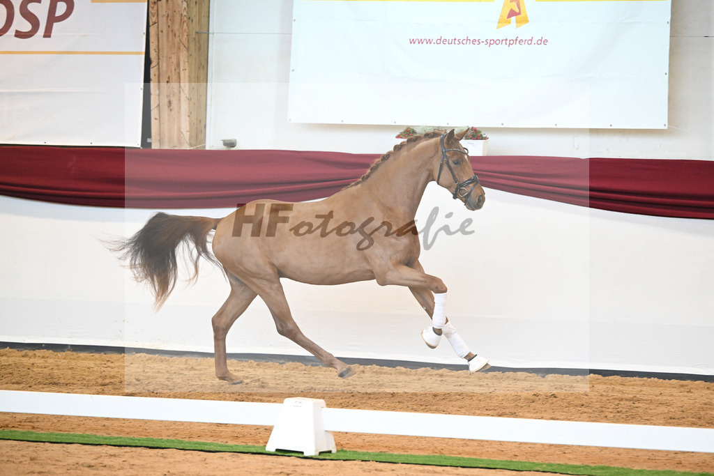 Kat-Nr. 52 v. Vaderland_Galneder_66220765 | hf-fotografie - Realisiert mit Pictrs.com