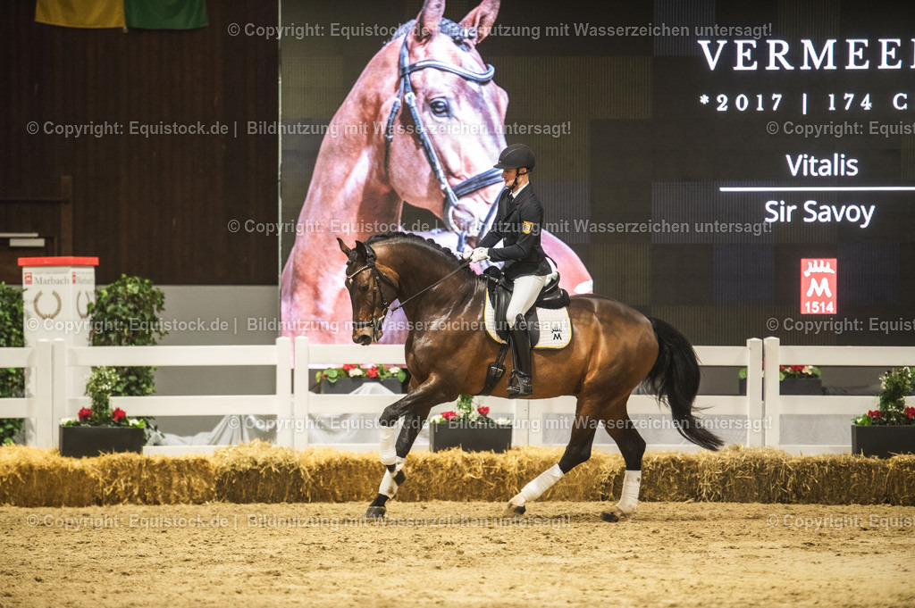 20240302_Hengstvorstellung_Marbach_TOMsPiC_1216-2 | equistock