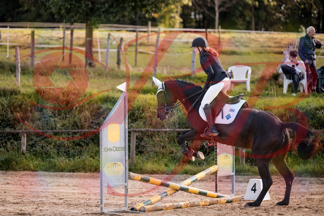 2026_10_03_Siefer-Hof_145921_Z81_41496226 | Professionelle Reitsport-, Turnier- und Eventfotografie von Robert Broda. Galerien mit ausgewählten und bearbeiteten Bildern direkt online ansehen und bestellen.