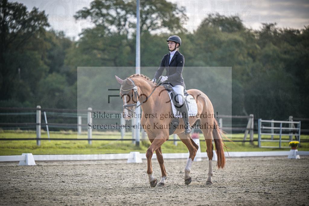 DOS_B069 | Entdecke hochwertige Reitturnierfotos von Foto Oger. Professionell, emotional und authentisch – jetzt Lieblingsmomente im Shop bestellen.Deutschlandweite Turnierfotografie. - Realisiert mit Pictrs.com
