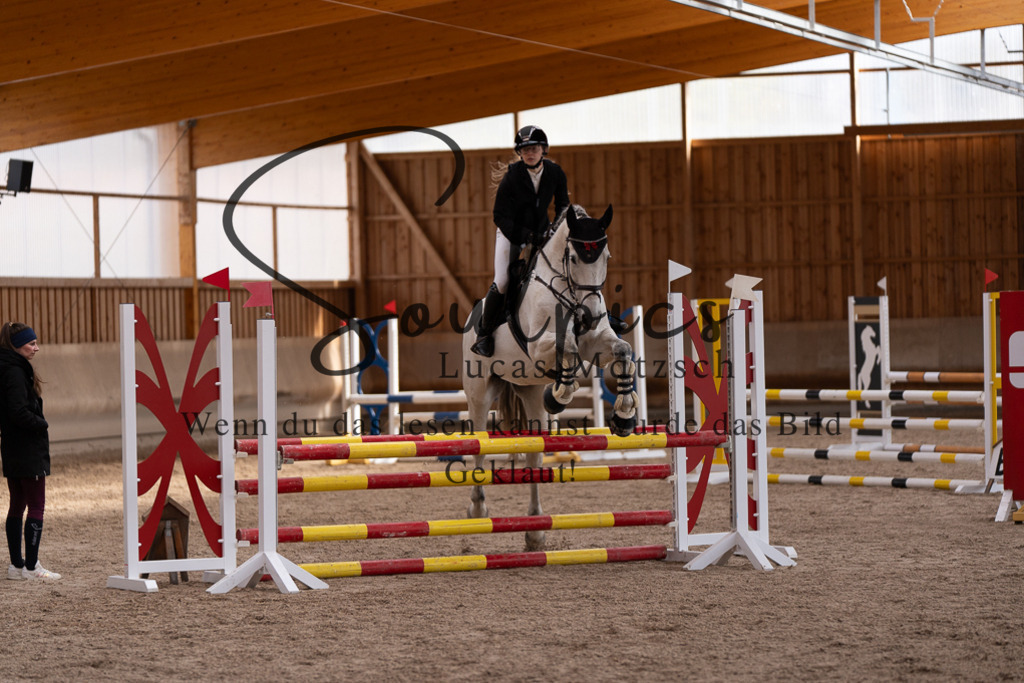 A7507813 | Pferdefotograf