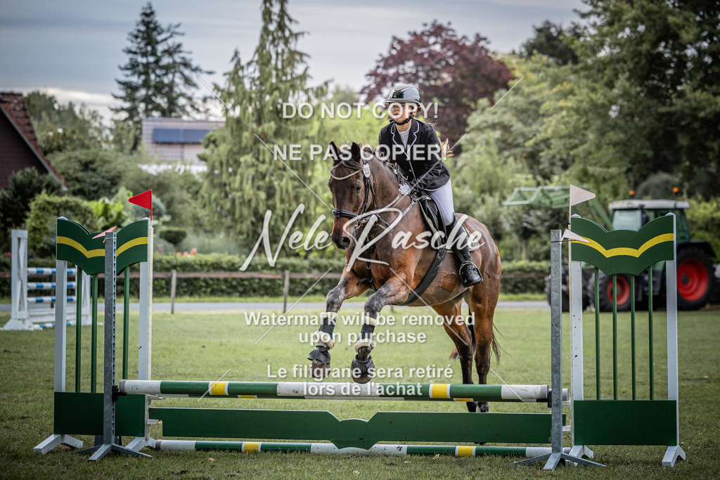 nelerasche_StilSpr60Ede_16 | nelerasche