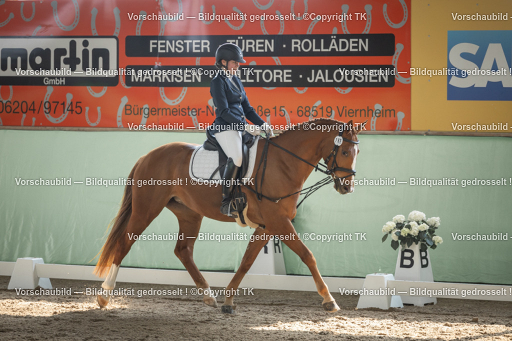 _D5A5600 | Emotionale Pferde- & People-Fotografie rund um Heidelberg, Leimen & Umgebung. Natürliche Fotos von Pferd, Mensch & Familie. Jetzt Termin sichern!