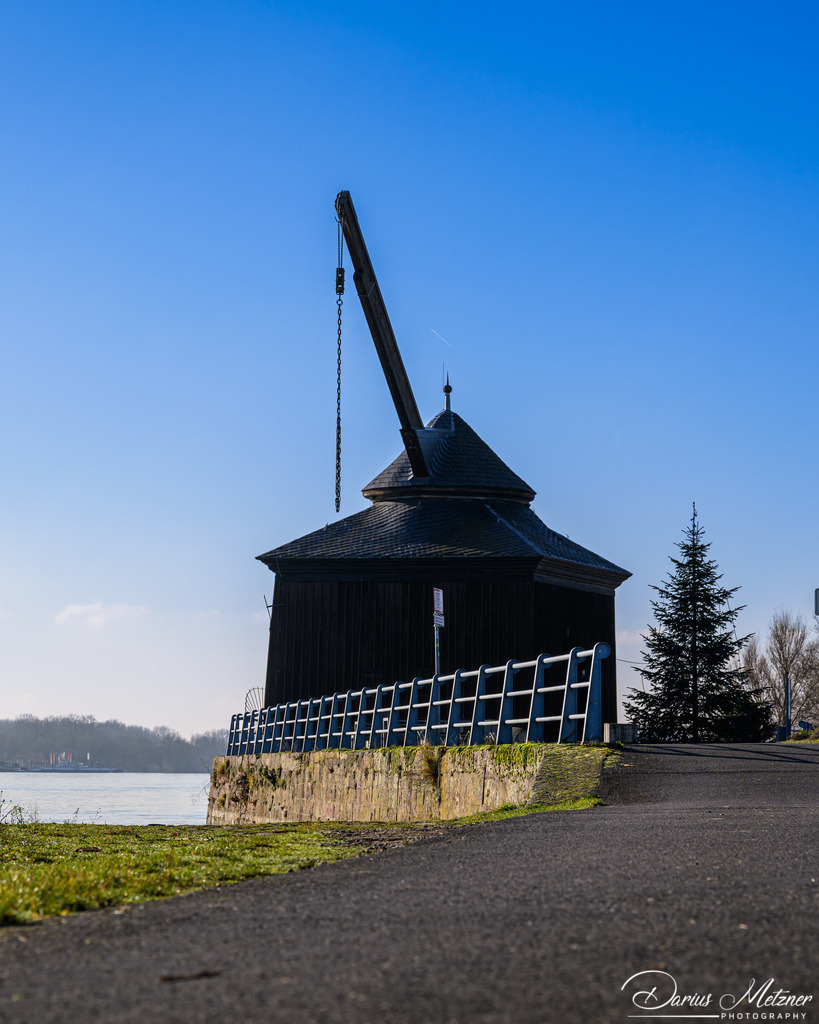 DSC_9037 2 | Fotografien, Fotos und Bilder aus Mainz, Frankfurt, Wiesbaden und anderen Orten auf der Welt - Fotografiert von Darius Metzner