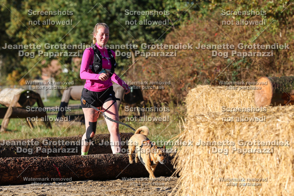 Dog Paparazzi - Strongdog 10-25-1280 | Dog Paparazzi Jeanette Grottendiek Fotografie & Videografie - Realisiert mit Pictrs.com