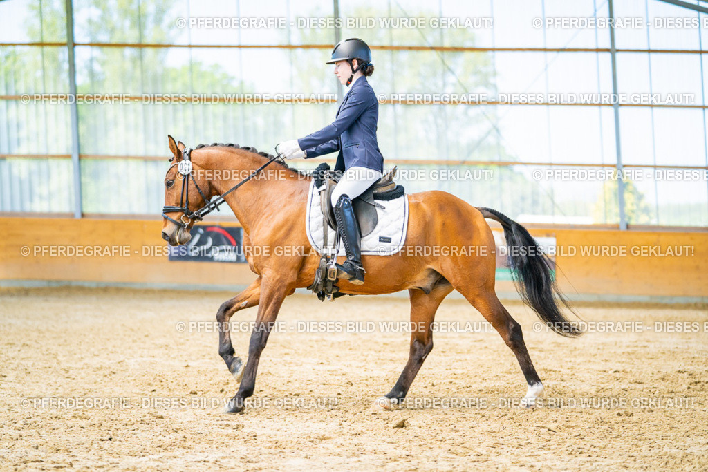 DSC07929 | Pferdegrafie