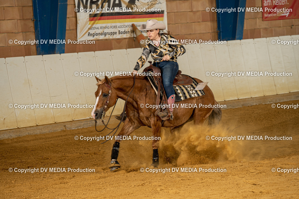 MIT00255 | dv-media-shop - Realisiert mit Pictrs.com