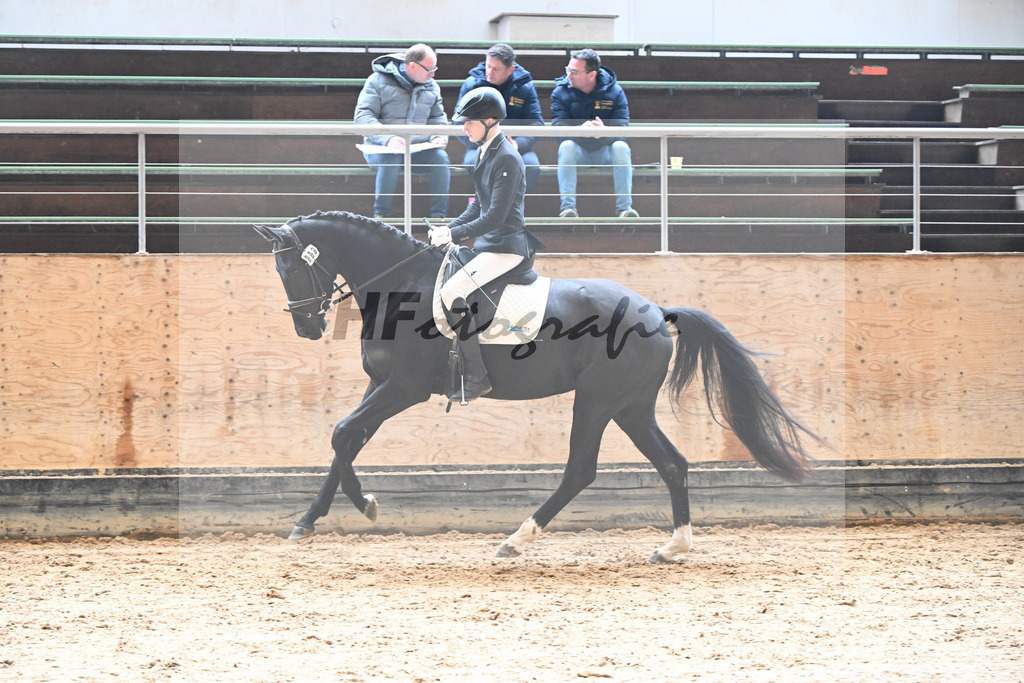 Kat-Nr. 8 Selma v. Don Royal_Eder_50250268 | hf-fotografie - Realisiert mit Pictrs.com