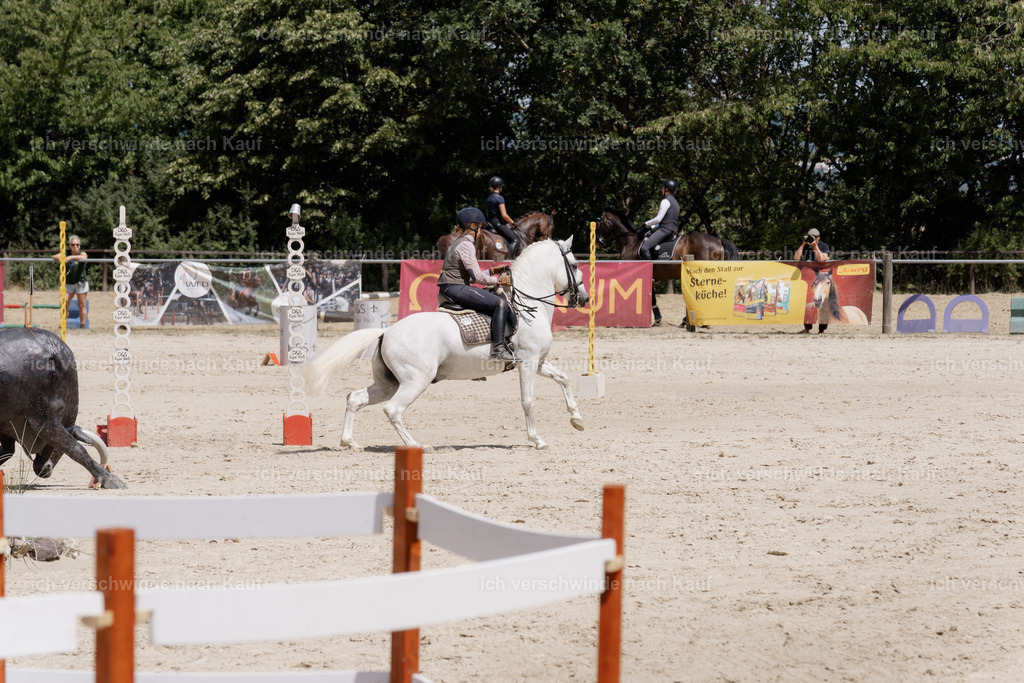 WM_SP_28_SinaFilmArt_IN07366 | working equitationturnier fotograf videograf stoibphotography marixx film working equitation deutschland reitsport turnierfotografie eventfotografie equestrian events