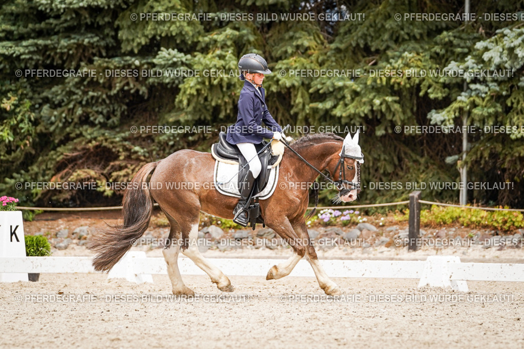 DSC04392 | Pferdegrafie