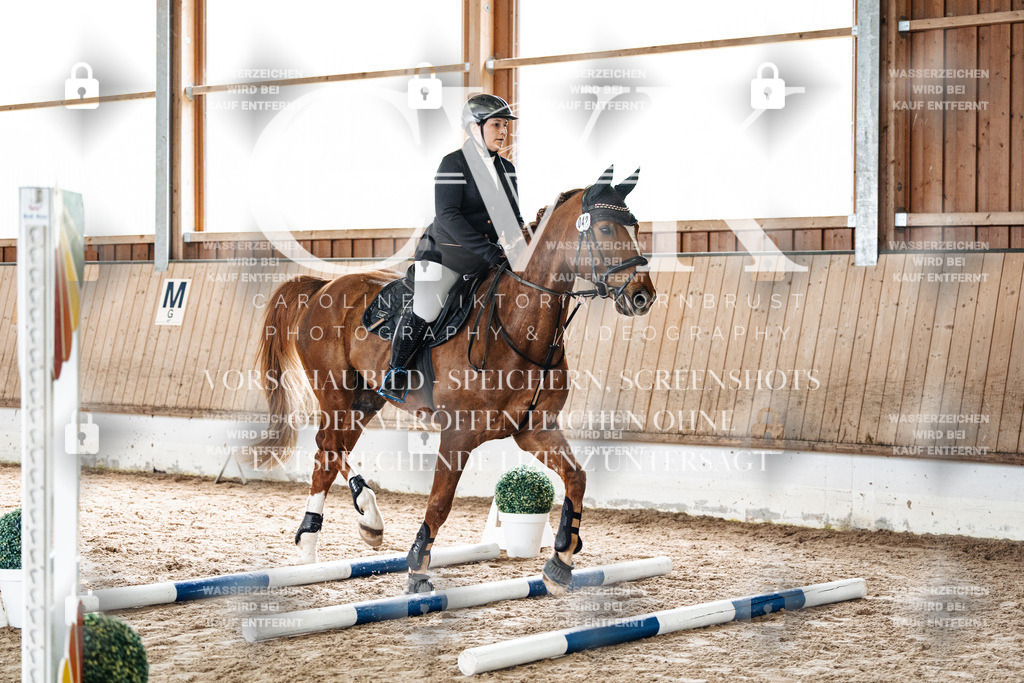CK902642 | Turnierfotografie Pferdefotografie Trier Rheinland-Pfalz Pferdesport Reitsport Tierfotografie Sportfotografie Pferdevideo Pferdevideografie Equestrianvideography equestrianphotography  - Realisiert mit Pictrs.com
