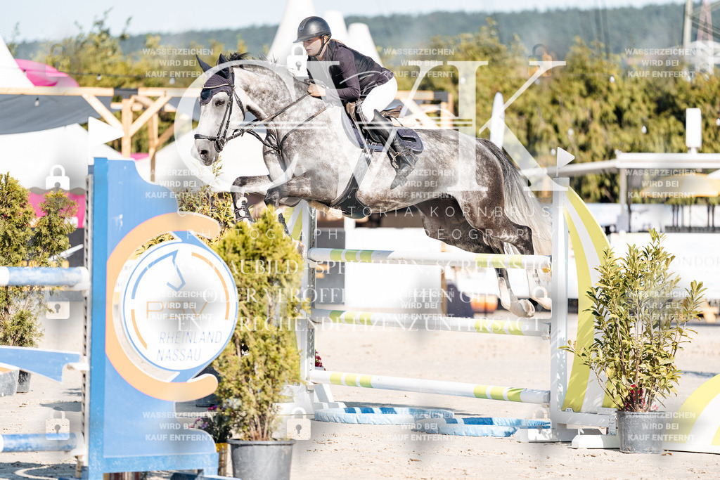 CK904677 | Turnierfotografie Pferdefotografie Trier Rheinland-Pfalz Pferdesport Reitsport Tierfotografie Sportfotografie Pferdevideo Pferdevideografie Equestrianvideography equestrianphotography  - Realisiert mit Pictrs.com