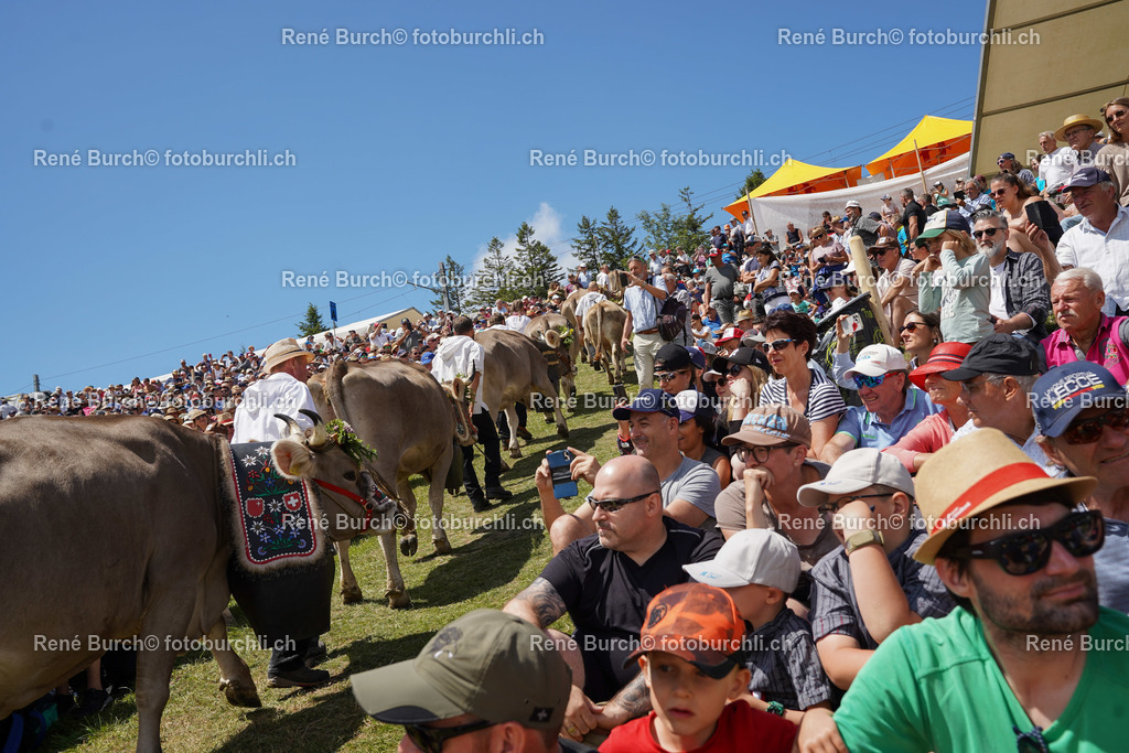 20220710-DSC09877 (2) | René Burch leidenschaftlicher Fotograf aus Kerns in Obwalden.  Hier finden sie Sport, Landschaft und Natur Fotografie.
 - Realisiert mit Pictrs.com