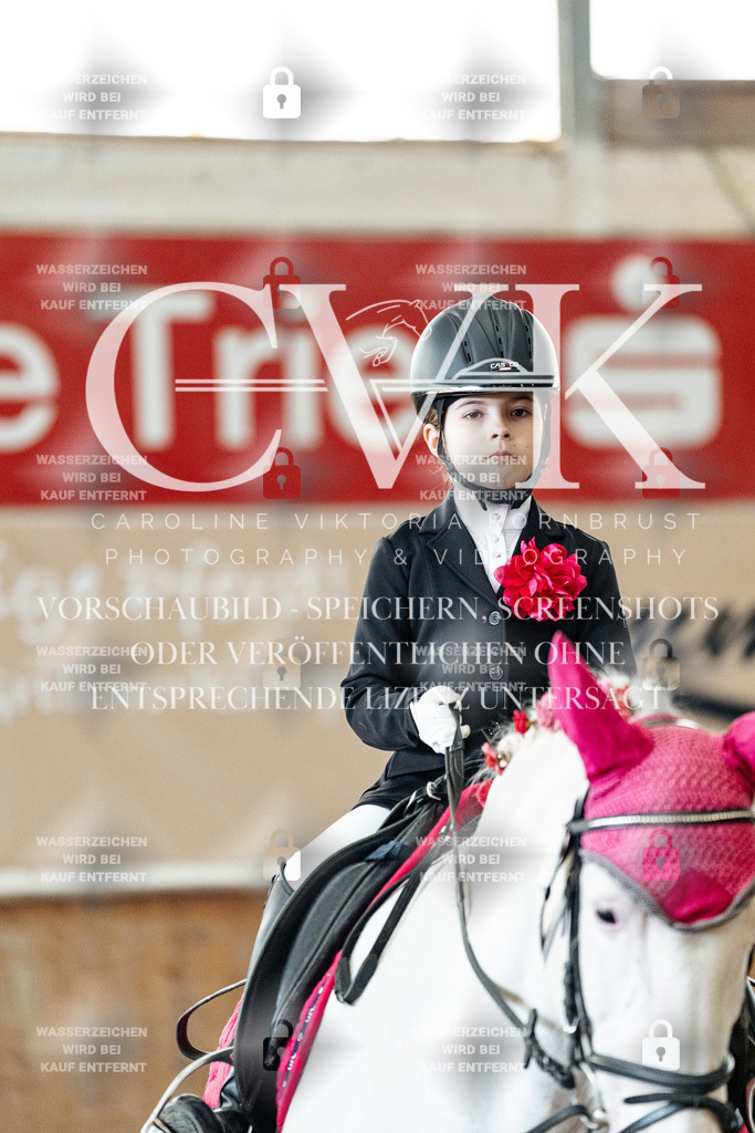 CK905670 | Turnierfotografie Pferdefotografie Trier Rheinland-Pfalz Pferdesport Reitsport Tierfotografie Sportfotografie Pferdevideo Pferdevideografie Equestrianvideography equestrianphotography  - Realisiert mit Pictrs.com