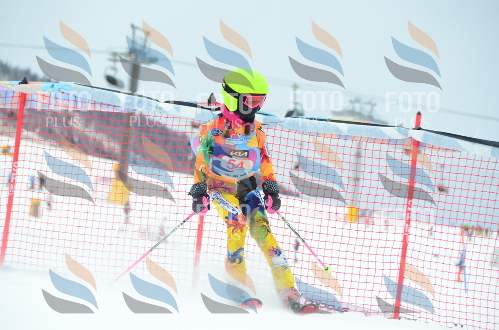 DSC_0977 | holidayphoto