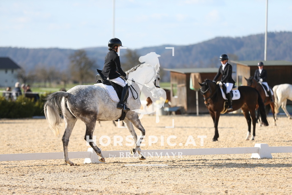 AS8V2045 | Willkommen bei Brunnmayr - Design & Fotografie – Ihrem Spezialisten für Reitturniere und Pferdeveranstaltungen in Oberösterreich, Salzburg und Bayern! Seit über 17 Jahren sind wir leidenschaftlich dabei.
