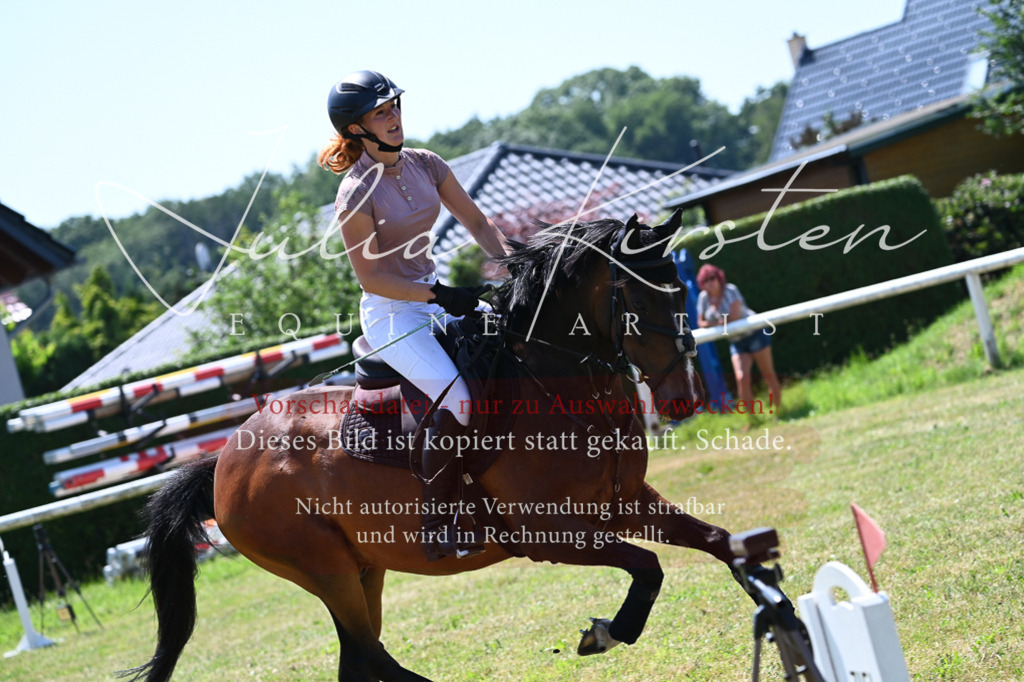 DSC_0776 | Pferde- und Turnierfotografie in Westsachsen. Pferdeportraits, Auftragszeichnungen und intuitive Kunst.