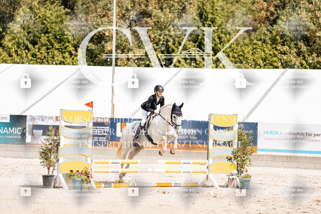 CK906447 | Turnierfotografie Pferdefotografie Trier Rheinland-Pfalz Pferdesport Reitsport Tierfotografie Sportfotografie Pferdevideo Pferdevideografie Equestrianvideography equestrianphotography  - Realisiert mit Pictrs.com
