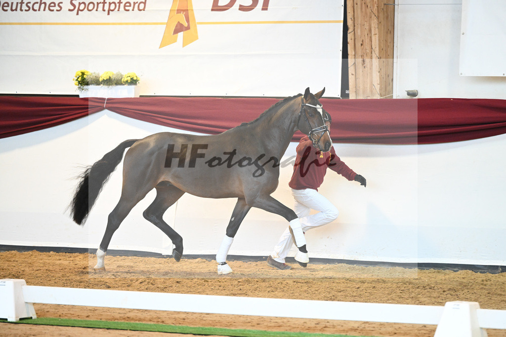Kat-Nr. 61 v. Goldberg_Reglauer_66221993 | hf-fotografie - Realisiert mit Pictrs.com