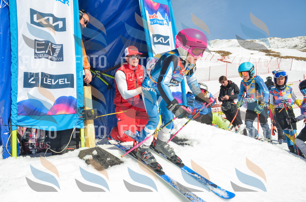 _ELE5797 | holidayphoto