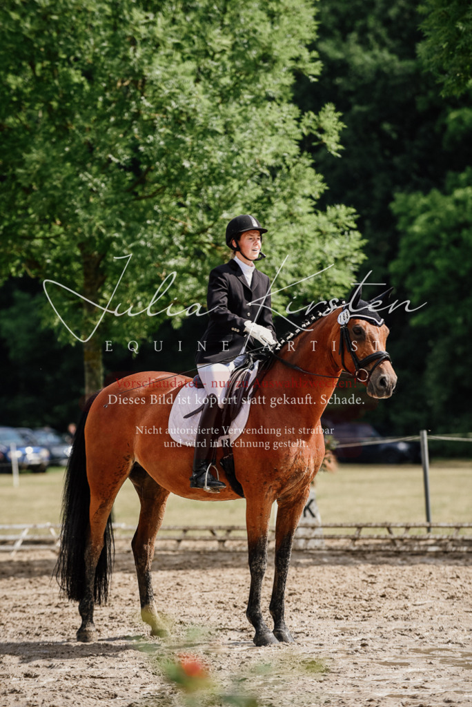 DSC_9804 | Pferde- und Turnierfotografie in Westsachsen. Pferdeportraits, Auftragszeichnungen und intuitive Kunst.