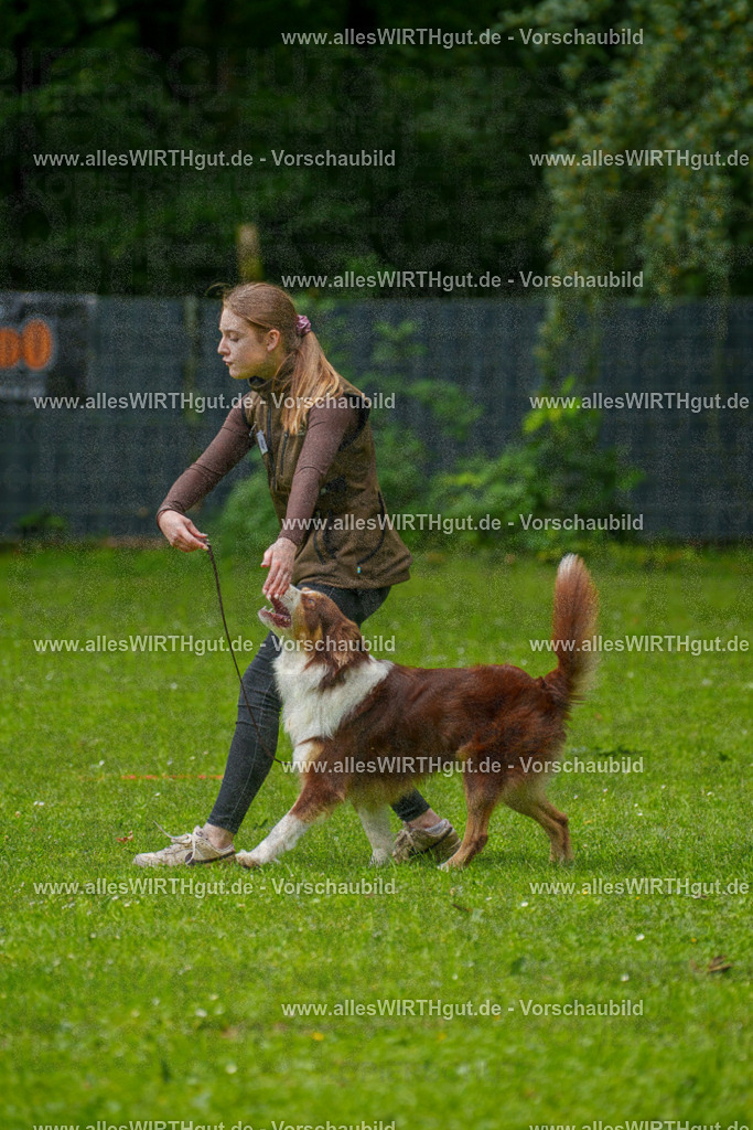@allesWIRTHgut_Tierfotografie - www.allesWIRTHgut.de - 7R500509 | Professionelle Tierfotografie in Mönchengladbach von Daniel Wirth (allesWIRTHgut). Liebevolle & natürliche Bilder von Hunden & Katzen für unvergessliche Erinnerungen.