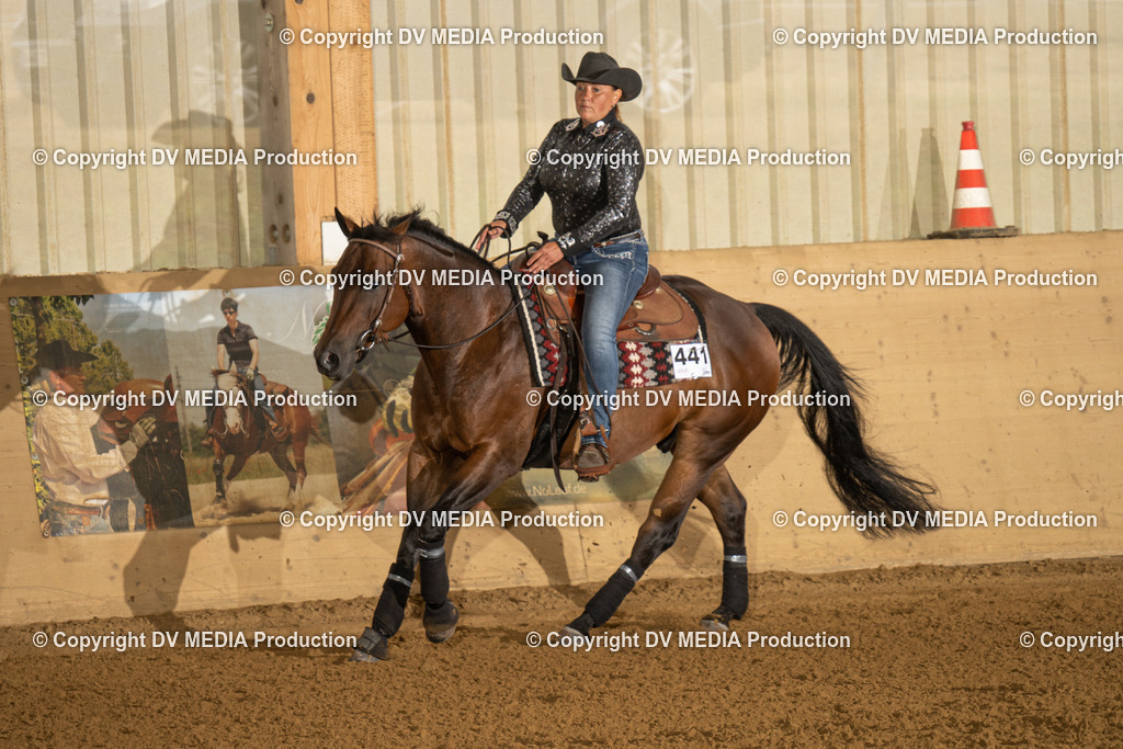 LAU00524 | dv-media-shop - Realisiert mit Pictrs.com