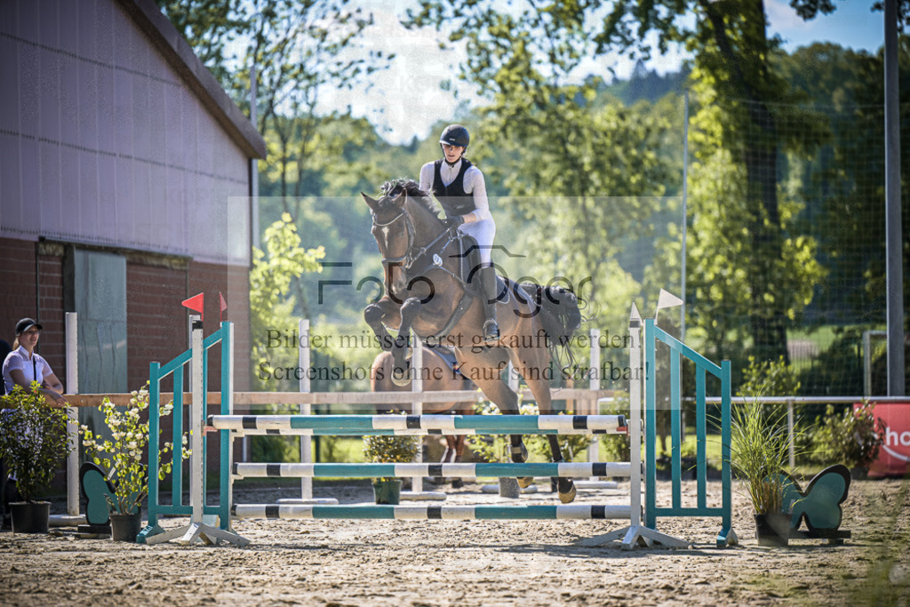 DOS_2582 | Entdecke hochwertige Reitturnierfotos von Foto Oger. Professionell, emotional und authentisch – jetzt Lieblingsmomente im Shop bestellen.Deutschlandweite Turnierfotografie. - Realisiert mit Pictrs.com