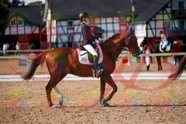 2026_10_03_Siefer-Hof_132800_Z63_87621018 | Professionelle Reitsport-, Turnier- und Eventfotografie von Robert Broda. Galerien mit ausgewählten und bearbeiteten Bildern direkt online ansehen und bestellen.