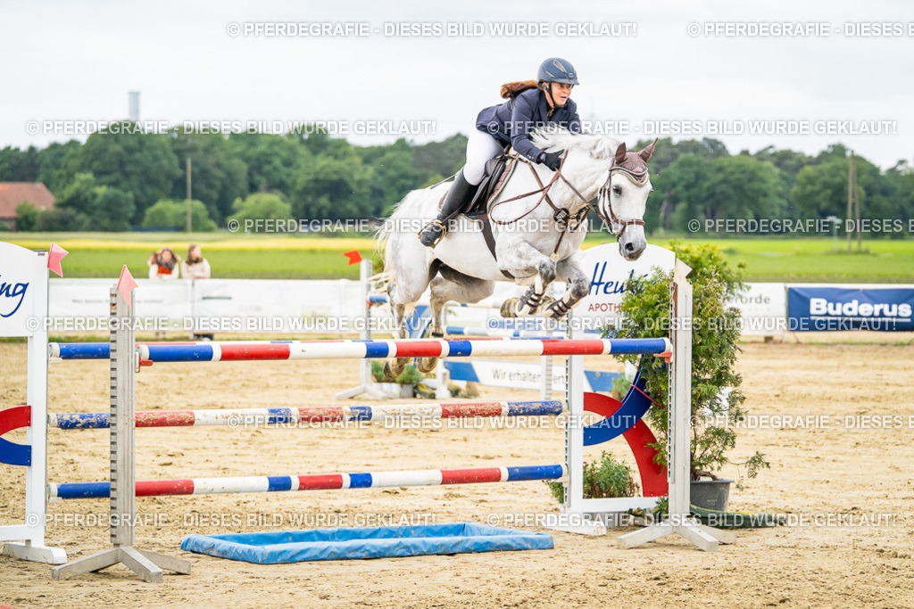 DSC06934 | Pferdegrafie