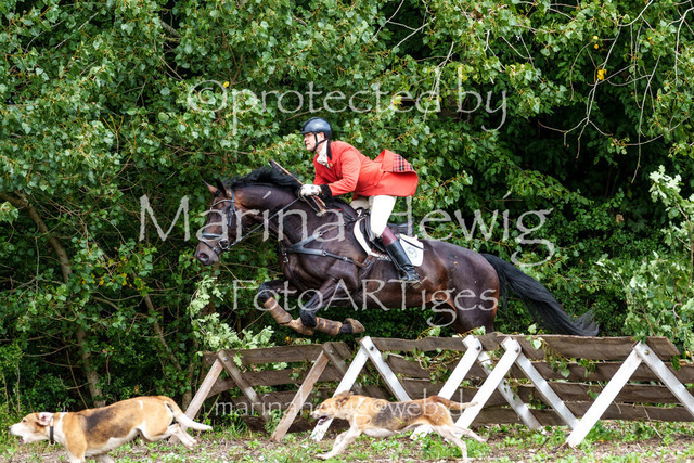 Jagd Perdoel 26 Sony-03612_MarinaHewig | Fotografie, FotoArt, PferdesportArt, Pferdesportfotografie, Landschaftsfotografie, Reisefotografie, Reise, Pferde - Realisiert mit Pictrs.com