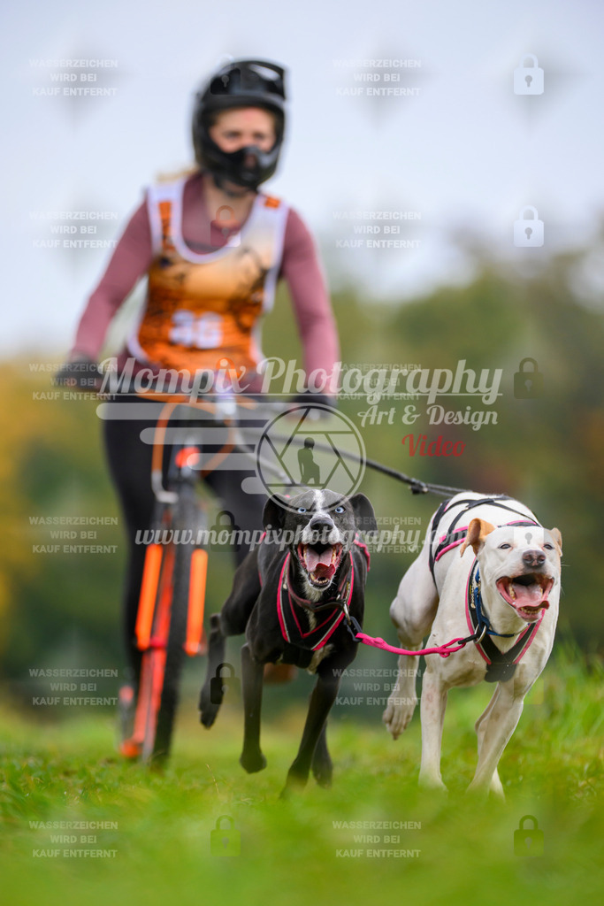 MompixPhotography_CDLBDB2025_DI_DS-27 | PayLife