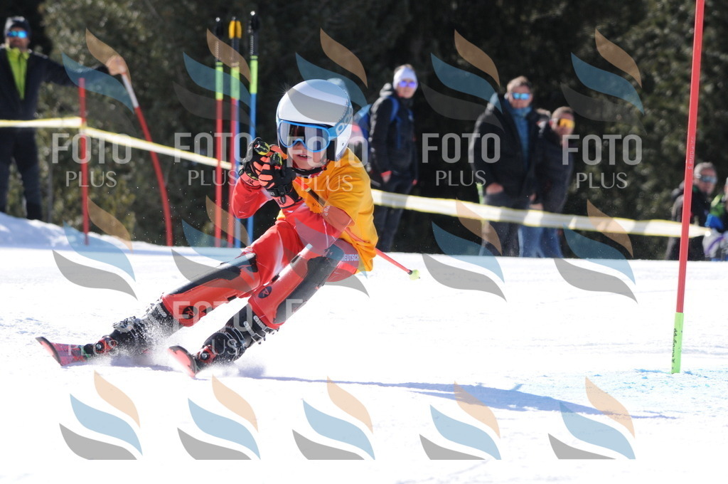 C7141 | holidayphoto