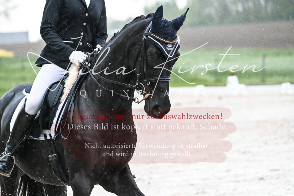 DSC_4744 | Pferde- und Turnierfotografie in Westsachsen. Pferdeportraits, Auftragszeichnungen und intuitive Kunst.