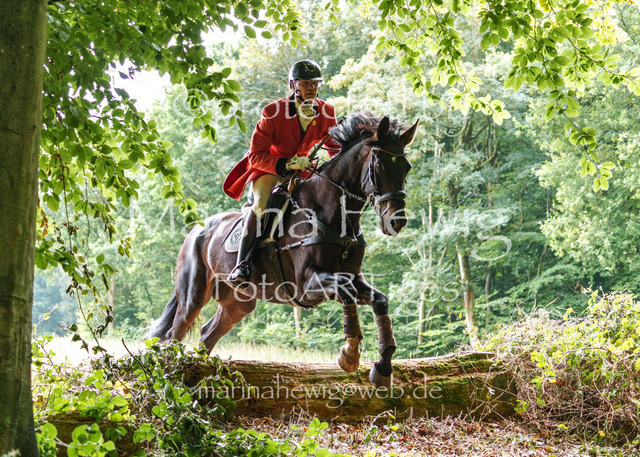 Jagd Knoop 26_MarinaHewigMCH02392 | Fotografie, FotoArt, PferdesportArt, Pferdesportfotografie, Landschaftsfotografie, Reisefotografie, Reise, Pferde - Realisiert mit Pictrs.com