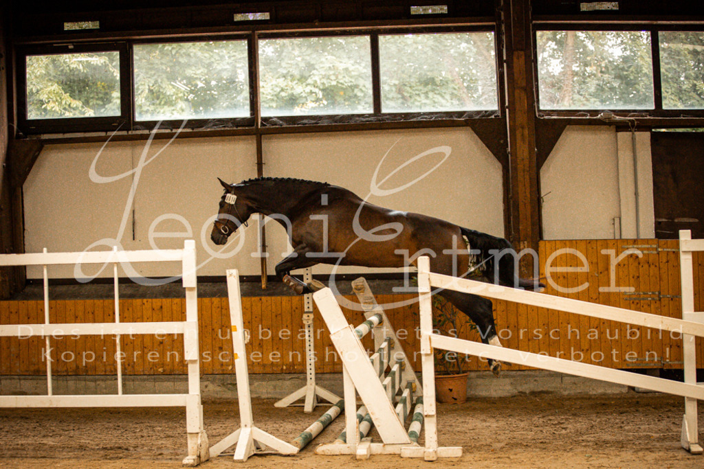 2FS_L00004 | Leoni Ertmer Photography - Realisiert mit Pictrs.com