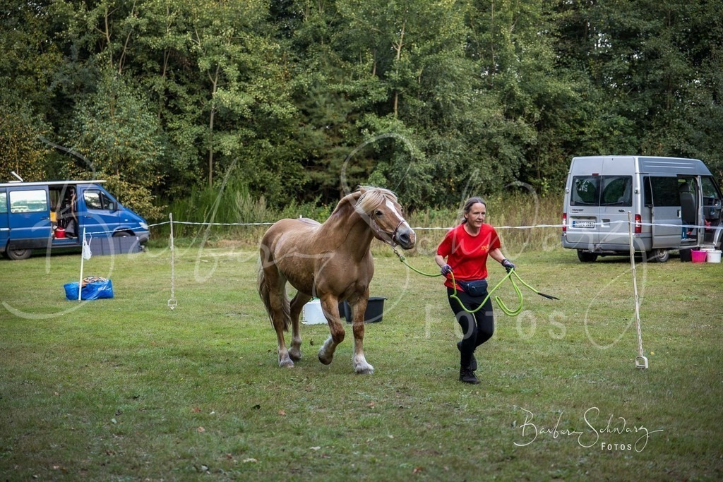 DdLH-NU_2025-09-20_19 | Fotografie, Veranstaltungs-Fotografie, Pferde-Fotografie, Landschafts-Fotografie, Reise-Fotografie - Realisiert mit Pictrs.com