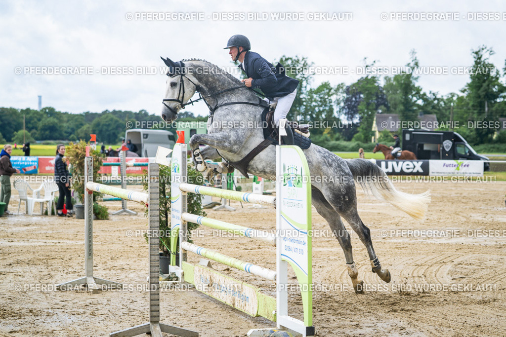 DSC04482 | Pferdegrafie