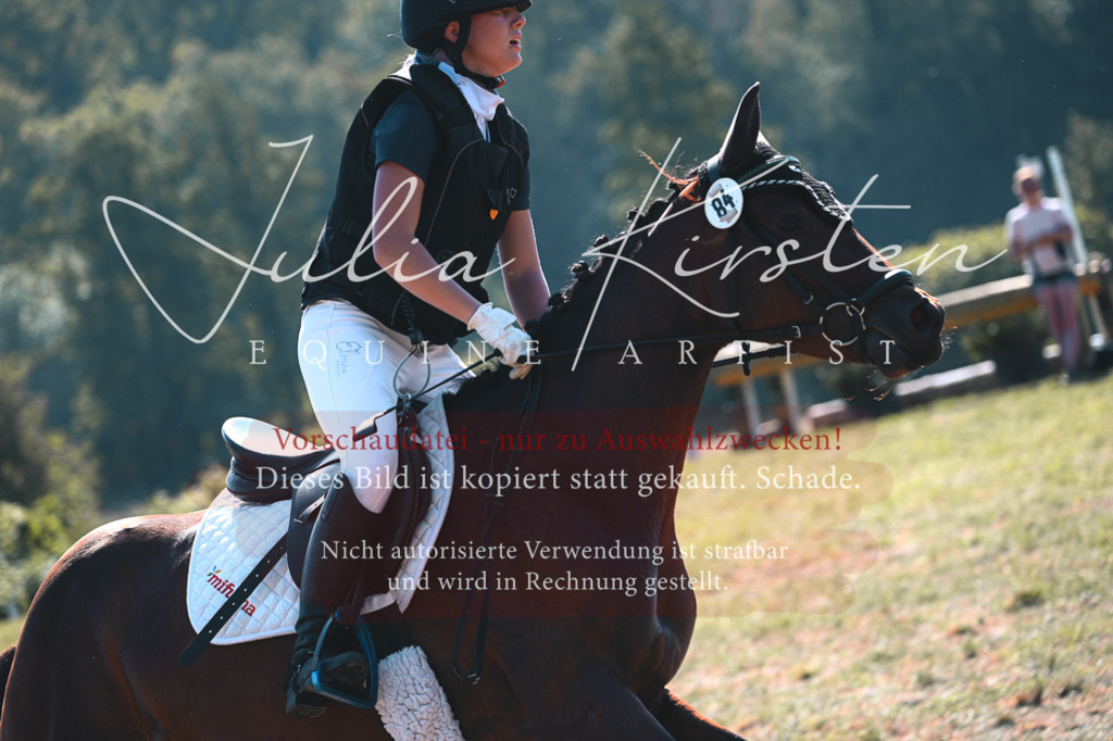 DSC_7864 | Pferde- und Turnierfotografie in Westsachsen. Pferdeportraits, Auftragszeichnungen und intuitive Kunst.