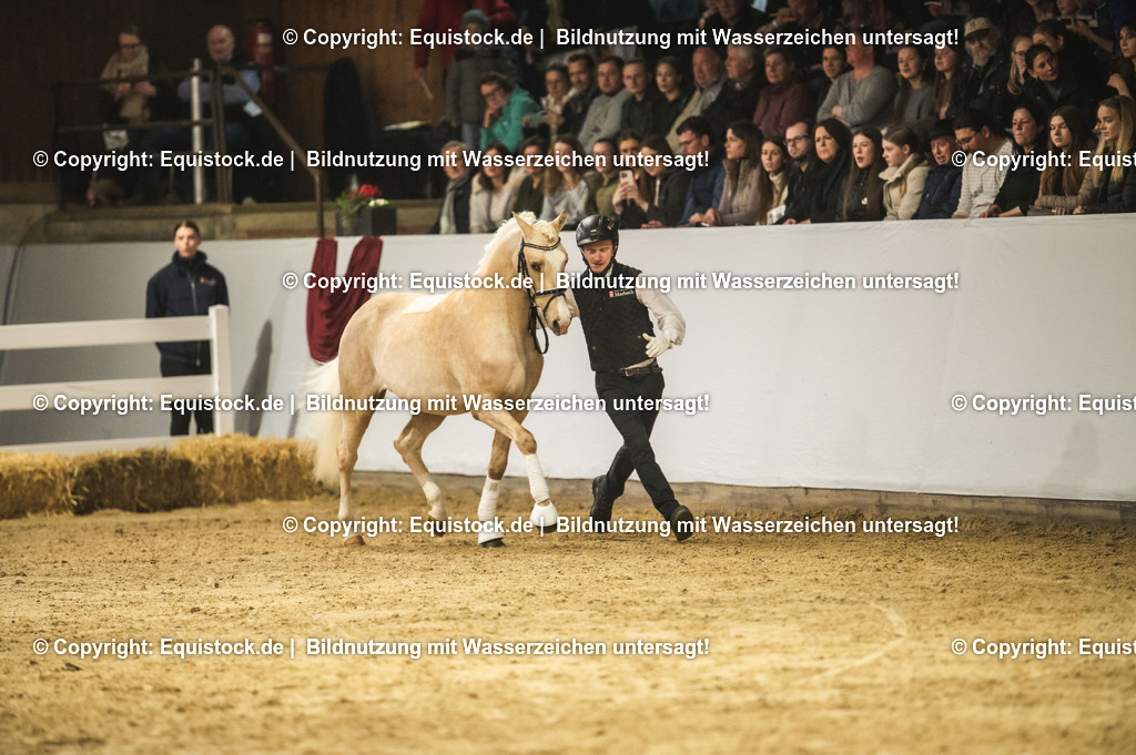 20240302_Hengstvorstellung_Marbach_TOMsPiC_0797-2 | equistock