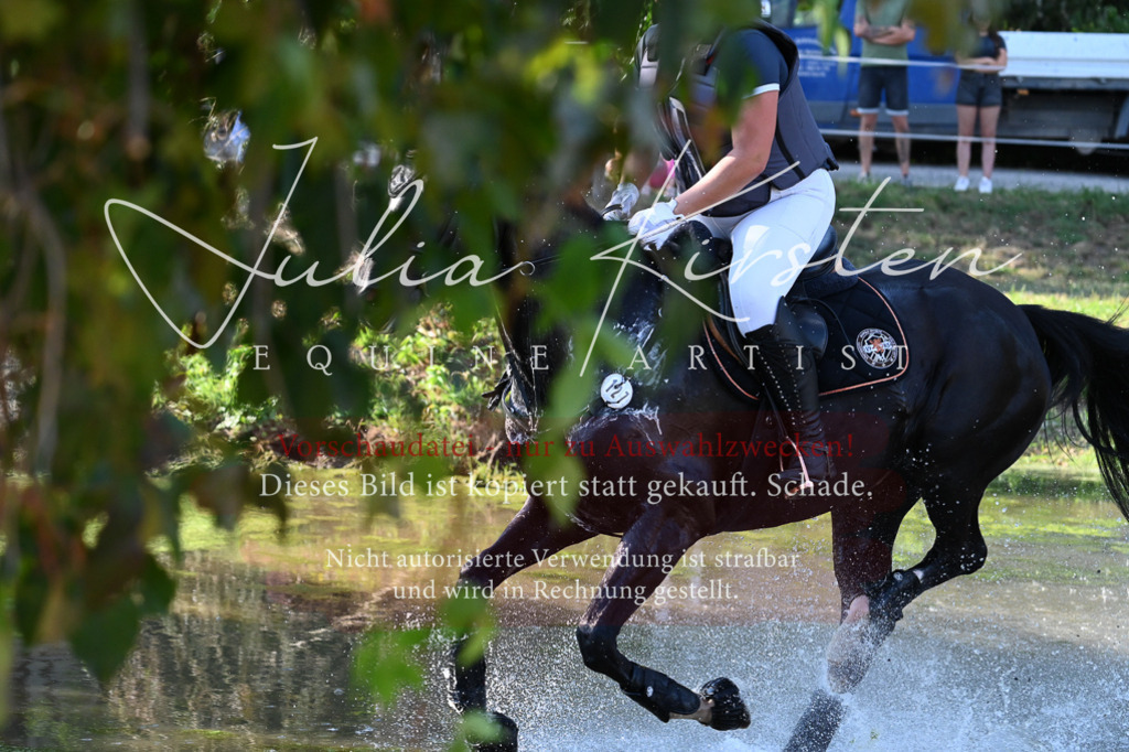 DSC_8949 | Pferde- und Turnierfotografie in Westsachsen. Pferdeportraits, Auftragszeichnungen und intuitive Kunst.