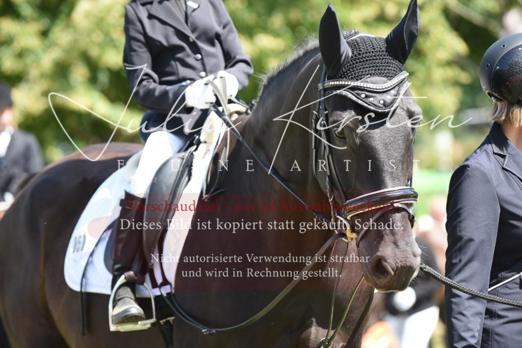 DSC_9763 | Pferde- und Turnierfotografie in Westsachsen. Pferdeportraits, Auftragszeichnungen und intuitive Kunst.