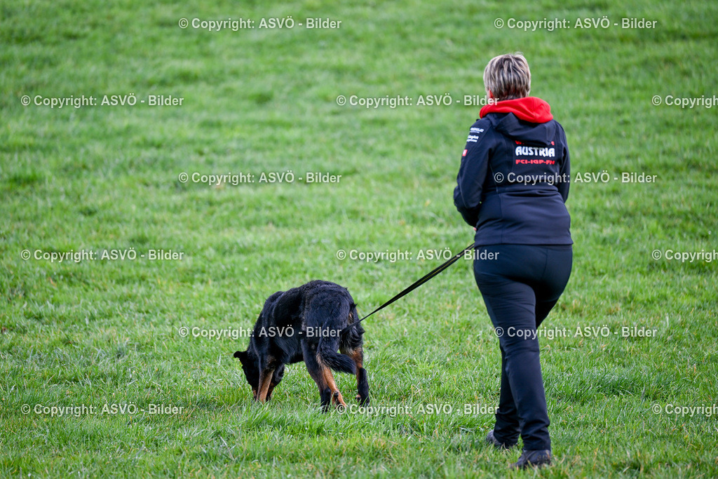 ASVÖ_ Tracking Dog World Championship 2025_ 31.03.2025-72 | 31.03.2025, AUT, ASVÖ, Tracking Dog World Championship // FCI IGP Fährtenhundeweltmeisterschaft 2025©fodo.media / Harald Dostal - Realisiert mit Pictrs.com