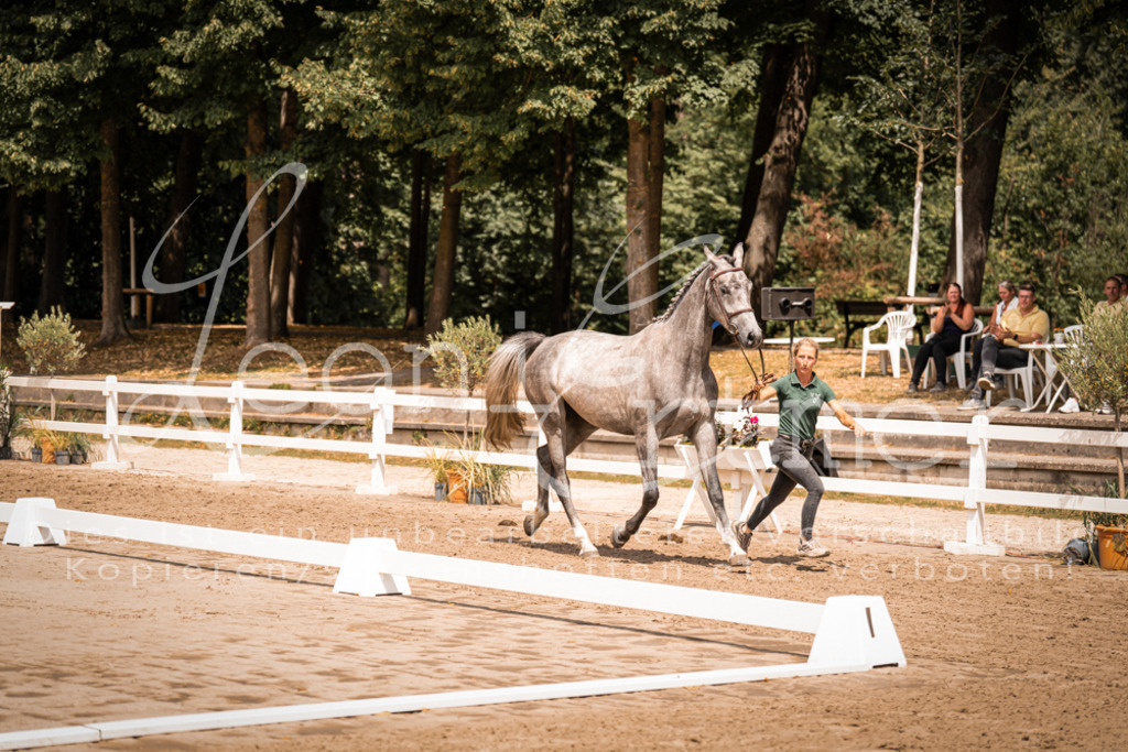 1.Fr00177 | Leoni Ertmer Photography - Realisiert mit Pictrs.com