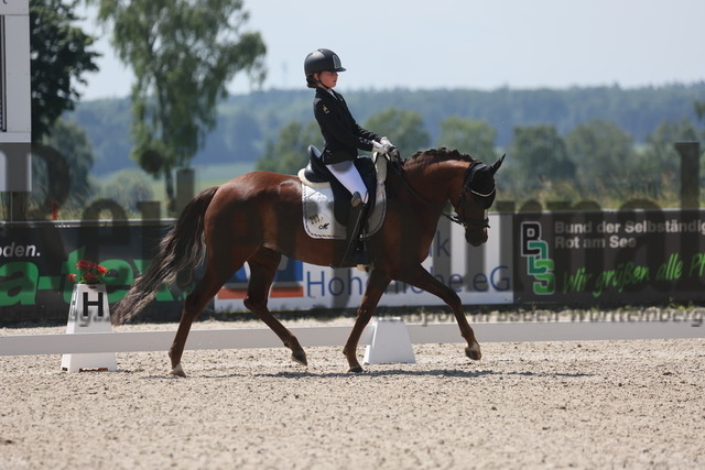 Rot am See_2024_Prfg.Nr.21_Qual.BCH_und_LCH_5-jähr.Ponys_Matilda Buchbach_Dundees Quadriga (5) | Alle Fotos der Reiterjournal Fotografin Doris Matthaes im Reiterjournal Online-Fotoshop. - Realisiert mit Pictrs.com