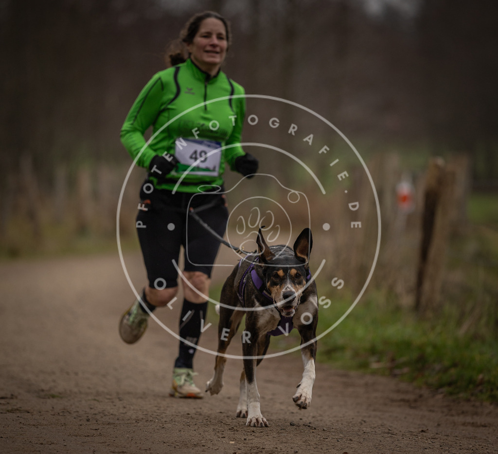 Pfotenfotografie_DV3A2793 | Hundefotografie, Tierfotograf, Pfotenfotografie, Fotoshooting Hund, Hunde Portrait, Hundesport, Hundeportraits, Heideshooting, Hunde, Sportfotograf, Hundefotograf, Turnierhundsport, THS,  - Realisiert mit Pictrs.com