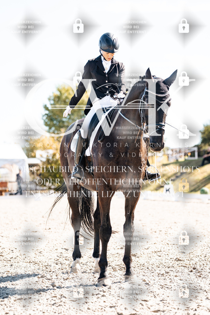 CK908927 | Turnierfotografie Pferdefotografie Trier Rheinland-Pfalz Pferdesport Reitsport Tierfotografie Sportfotografie Pferdevideo Pferdevideografie Equestrianvideography equestrianphotography  - Realisiert mit Pictrs.com